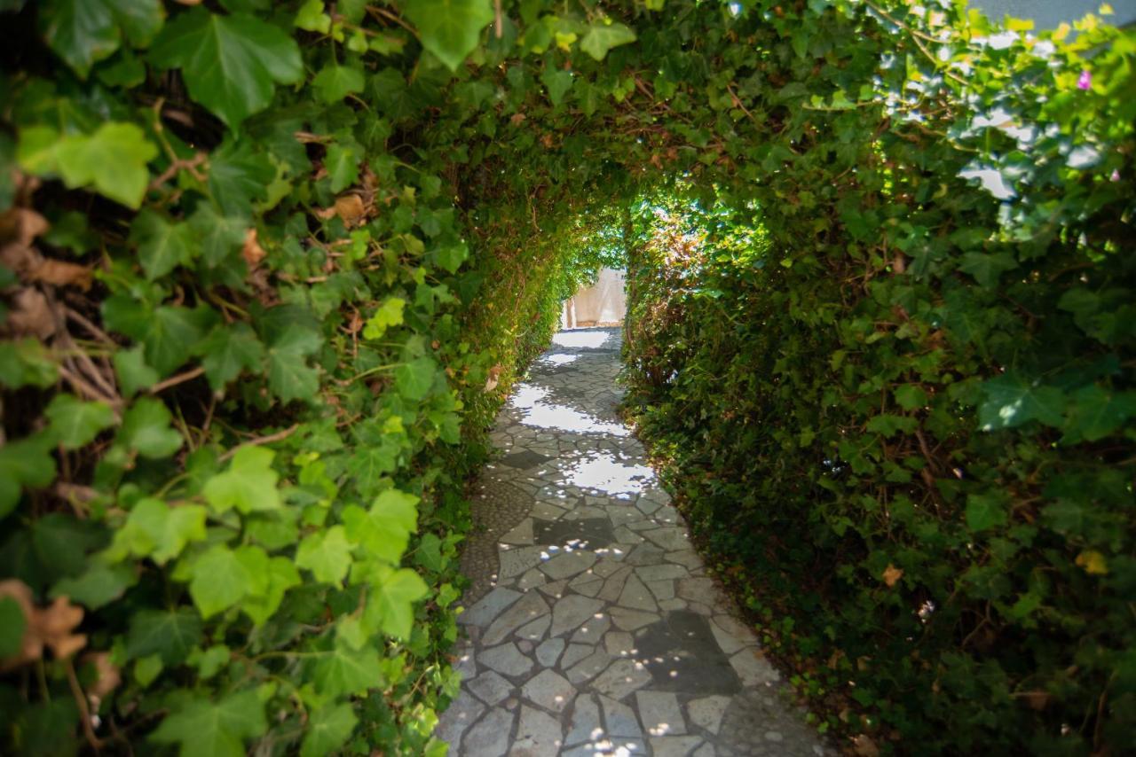 The Olive Terrace Apartments Palase Exterior foto